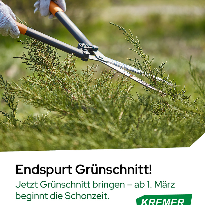 🌿 Grünschnitt wegbringen – Jetzt den richtigen Zeitpunkt nutzen!
In Deutschland ist der Rückschnitt von Bäumen... 🌿 Grünschnitt wegbringen – Jetzt den richtigen Zeitpunkt nutzen!
In Deutschland ist der Rückschnitt von Bäumen...