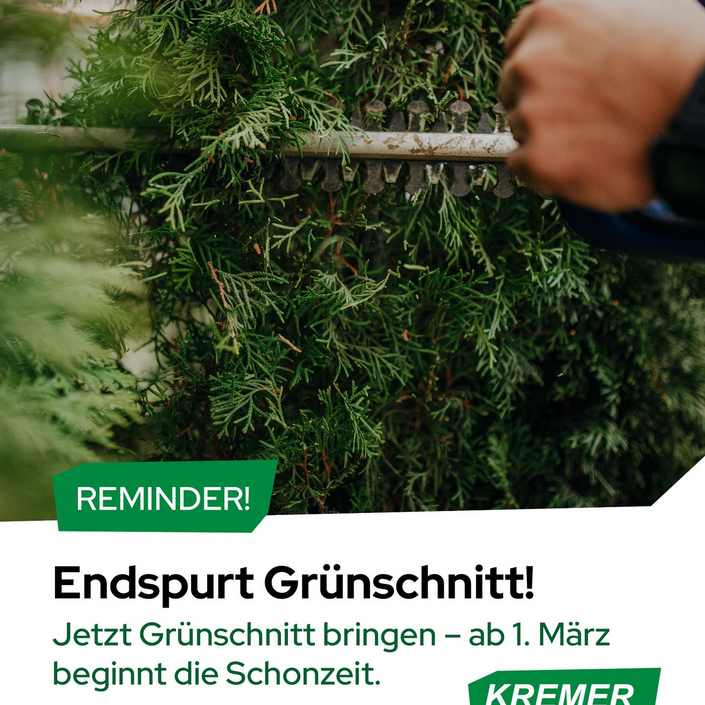 ⏰ Letzte Chance! Grünschnitt-Entsorgung! 🚨
Der Zeitraum für radikale Rückschnitte und Fällungen läuft bald ab – nutzt... ⏰ Letzte Chance! Grünschnitt-Entsorgung! 🚨
Der Zeitraum für radikale Rückschnitte und Fällungen läuft bald ab – nutzt...